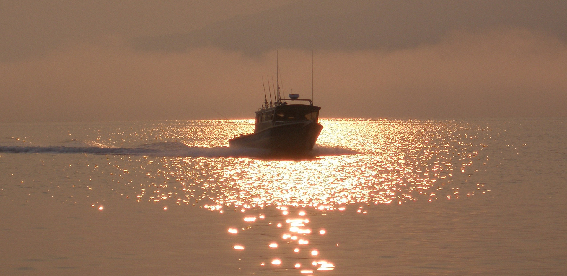 Contact - Prince of Wales